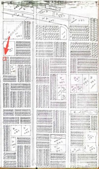 ٣٠٠م • موقع تجاري • على شارعين