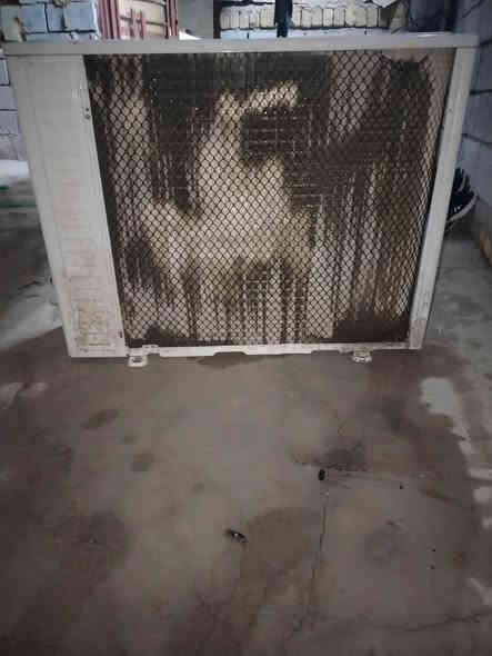 سبلت. طنين. نضيف. مكان. ديوانيه ***********.واتساب
