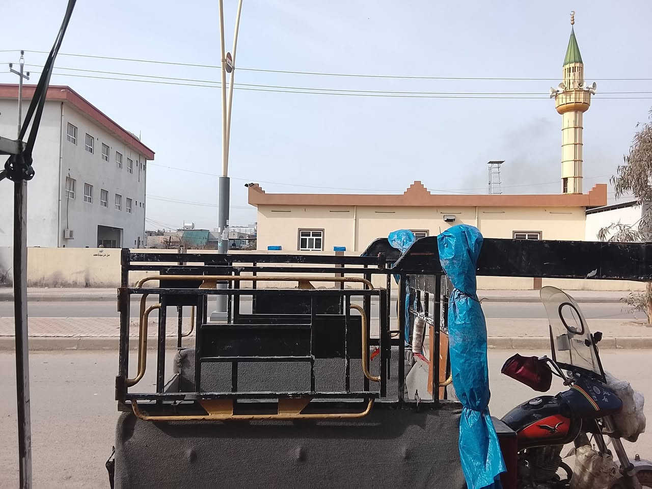 جنج للبيع سعر 175 بي مجال وتساب فقط ***********
