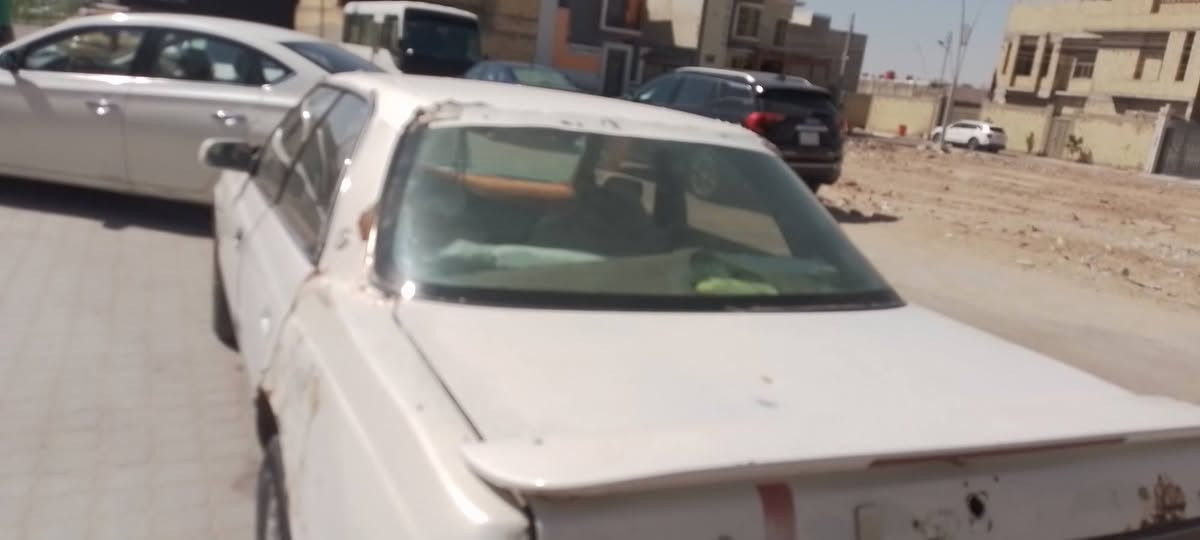شيزر رقم بصره تحويل رقم جديد 14. مكفول نقل وكص مكينه وكيري جدد توني شادهن السعر 26 الاتصال على الرقم ***********
