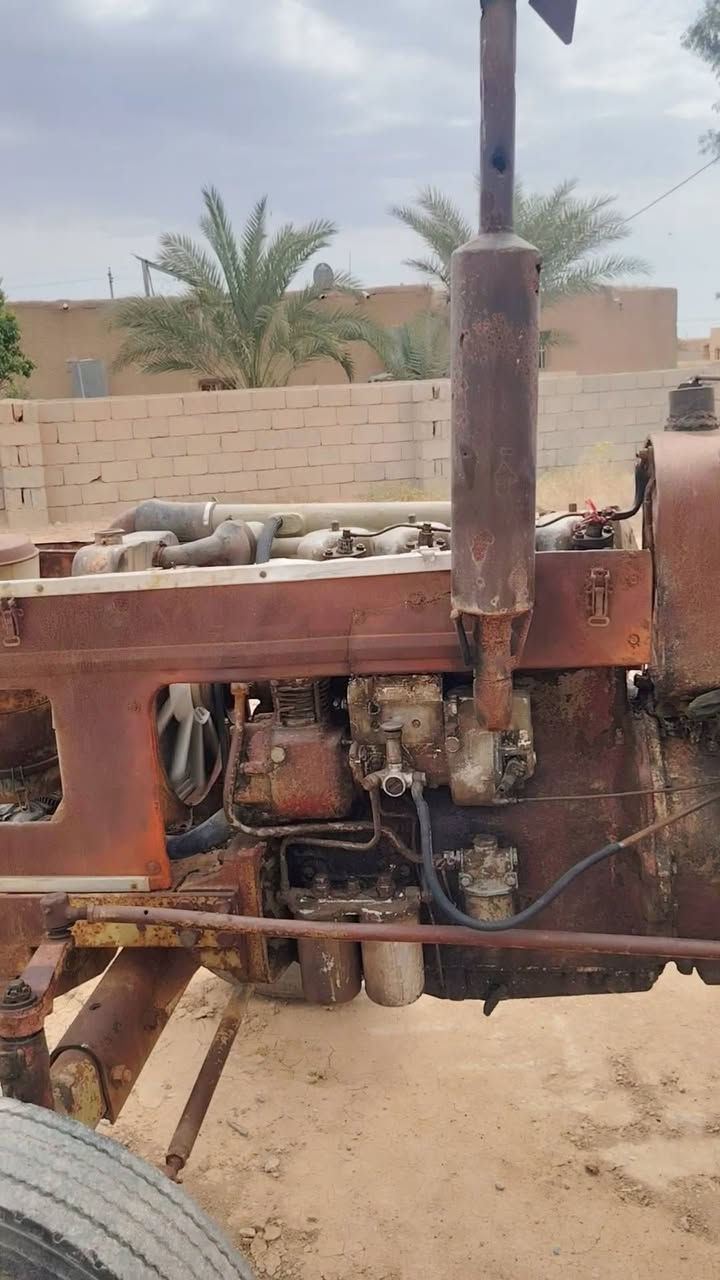 اسلام عليكم... عنتر للبيع 2ونص وبي مجال رقـــــم الهاتف ***********
