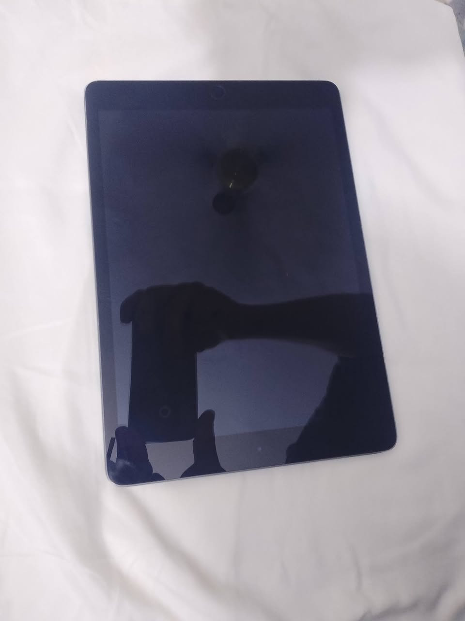 سلام عليكم ايباد 8 لبيع ذاكرته 32 بوبجي 60 فريم
السعر 200 وبي مجال الاتصال مكاني فلوجه 
***********
