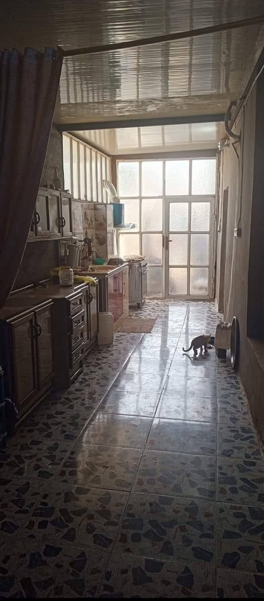 بيت للبيع في جزيرة البذياب قرب جامع الاحسان 3 غرف ديوان هول مطابخ 2  داخلي وخارجي حمامات داخل وخارج  الاستفسار على هاذا ارقم *********** واتساب طابو زراعي ٢٥ المساحه ٩٠٠
