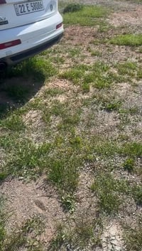 اودي Q7للبيع موديل2011 مكفوله كفاله عامه من ضربه والصبغ وكالة سردار ال...