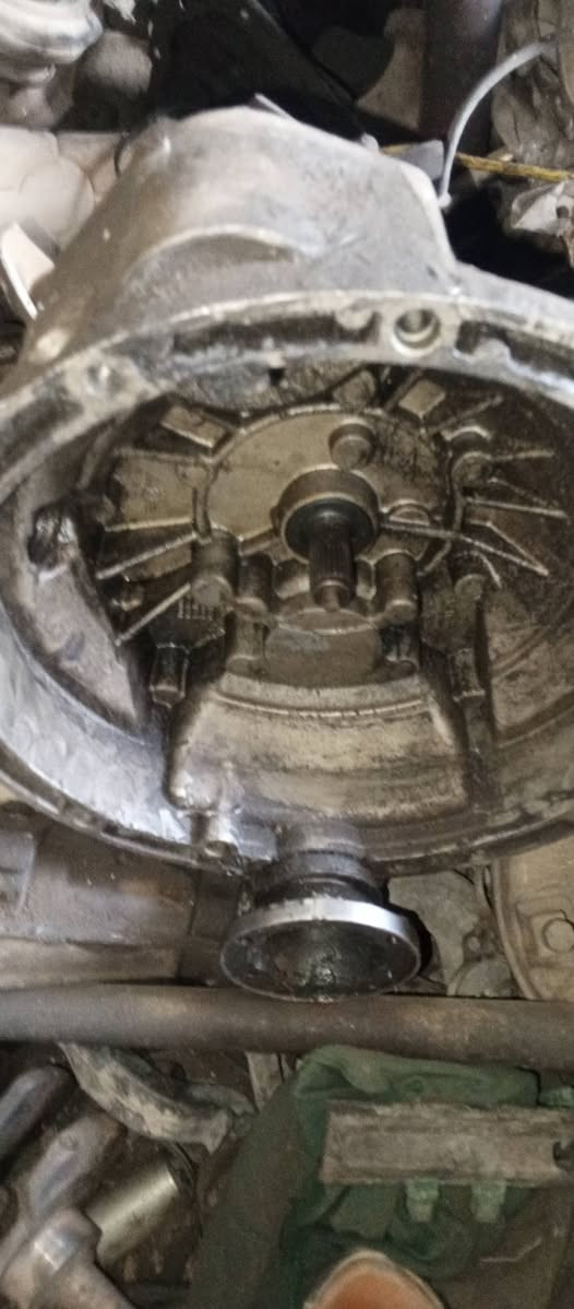 كير شيري كوين 2009للبيع  مكان ابو غريب حي الرساله


**إذا كنت صاحب هذا الإعلان وتريد حذفه لأي سبب، رجاءا أرسل رسالة إلى الدعم الفني**