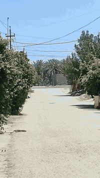 البيع    اتصال *********** وتساب
طابو صرف مساحه 250 متر بنا جديد 
عنوان شارع كربلاء بغداد عمود 565 ناحيه سوراء
