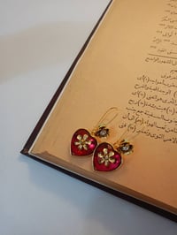 كلشي • اكسسوارات • عرض