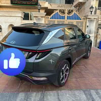 توسان • ٢٠٢٢ • وارد أمريكي