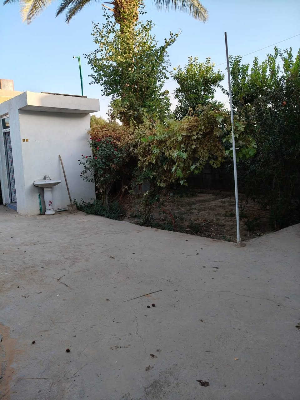 سلام عليكم يوجد بيت مساحه 300 متر يحتوي على ٢غرف نوم واستقبال وصحيات ومطبخ طابو زراعي سند ٢٥ العنوان بغداد الراشديه قرب البحيره الاتصال على الرقم ***********
