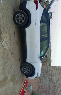 سيلتوس • ٢٠٢٢ • مكفولة