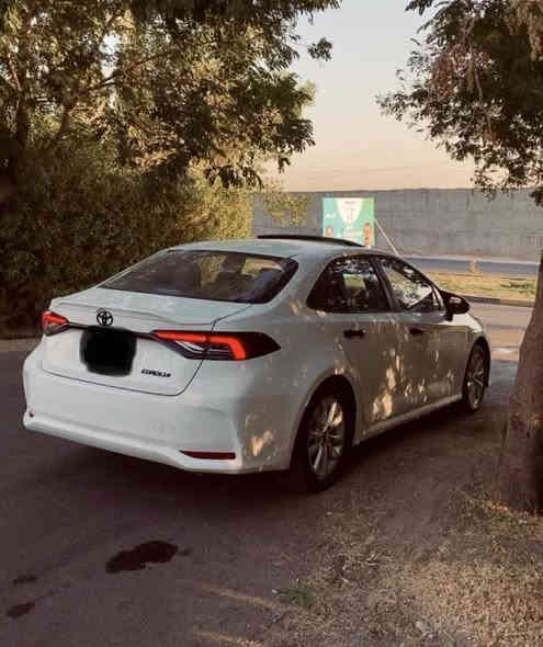 سلام عليكم سارة كورلة هايبرد 2024 للبيع سيارة مكفولة بيهة بس طخة زغيرة بل جاملغ بصف لقبق مال بانزين و رصعات زغيرة بل قمارة ما تبين سيارة مكفولة من لصبغ كير مكينة ماشية 40،000، سيارة بعدهة جديدة كشنات جلد تحكم ستيرن رادار قيادة ذاتية  فتحة   السعر 140  الاستفسار ***********
