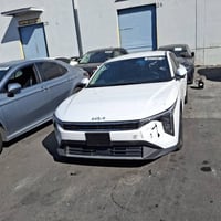 فورتي • بعمان • كتاب شهداء