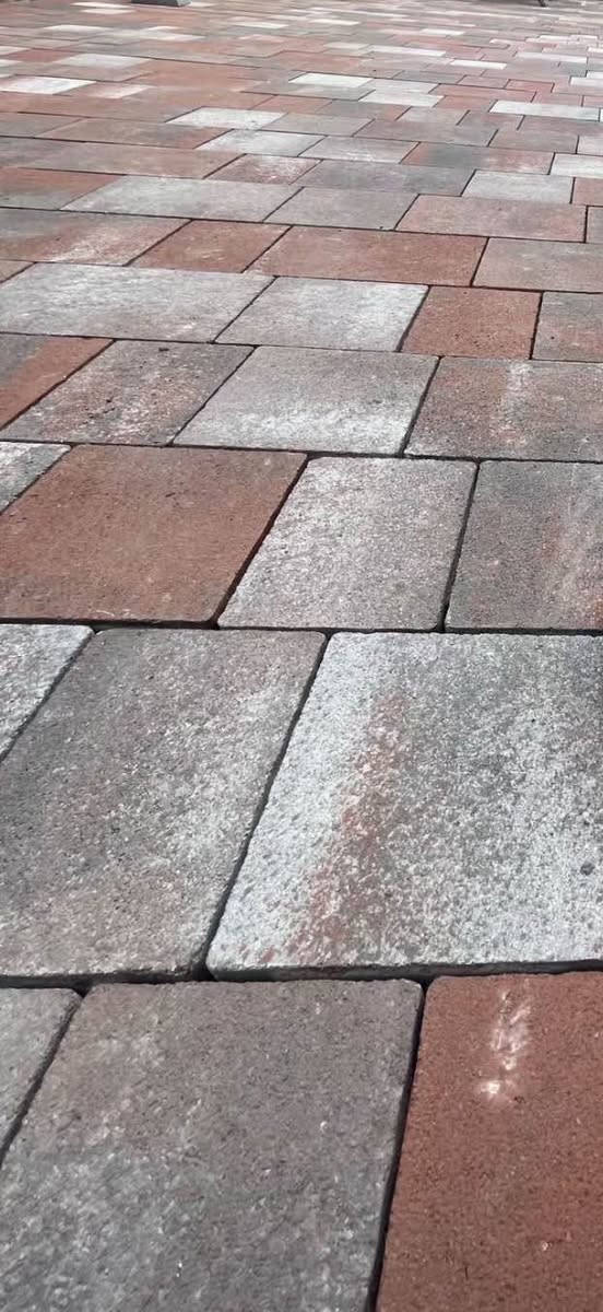 قوالب جديد و شكل جديد اول مره في عراق.


**إذا كنت صاحب هذا الإعلان وتريد حذفه لأي سبب، رجاءا أرسل رسالة إلى الدعم الفني**