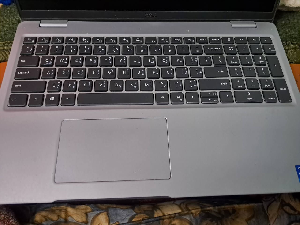 لابتوب نوع DELL استعمال أقل من 20 يوم أخذتهة ب700 رايدهة ب650
عنواني بغداد مدينة الصدر التواصل على الرقم ***********
