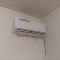 ٣ سبلت • ١ طن • موسم واحد