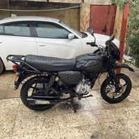 بوكسر • فحل • ٢٠٢٢