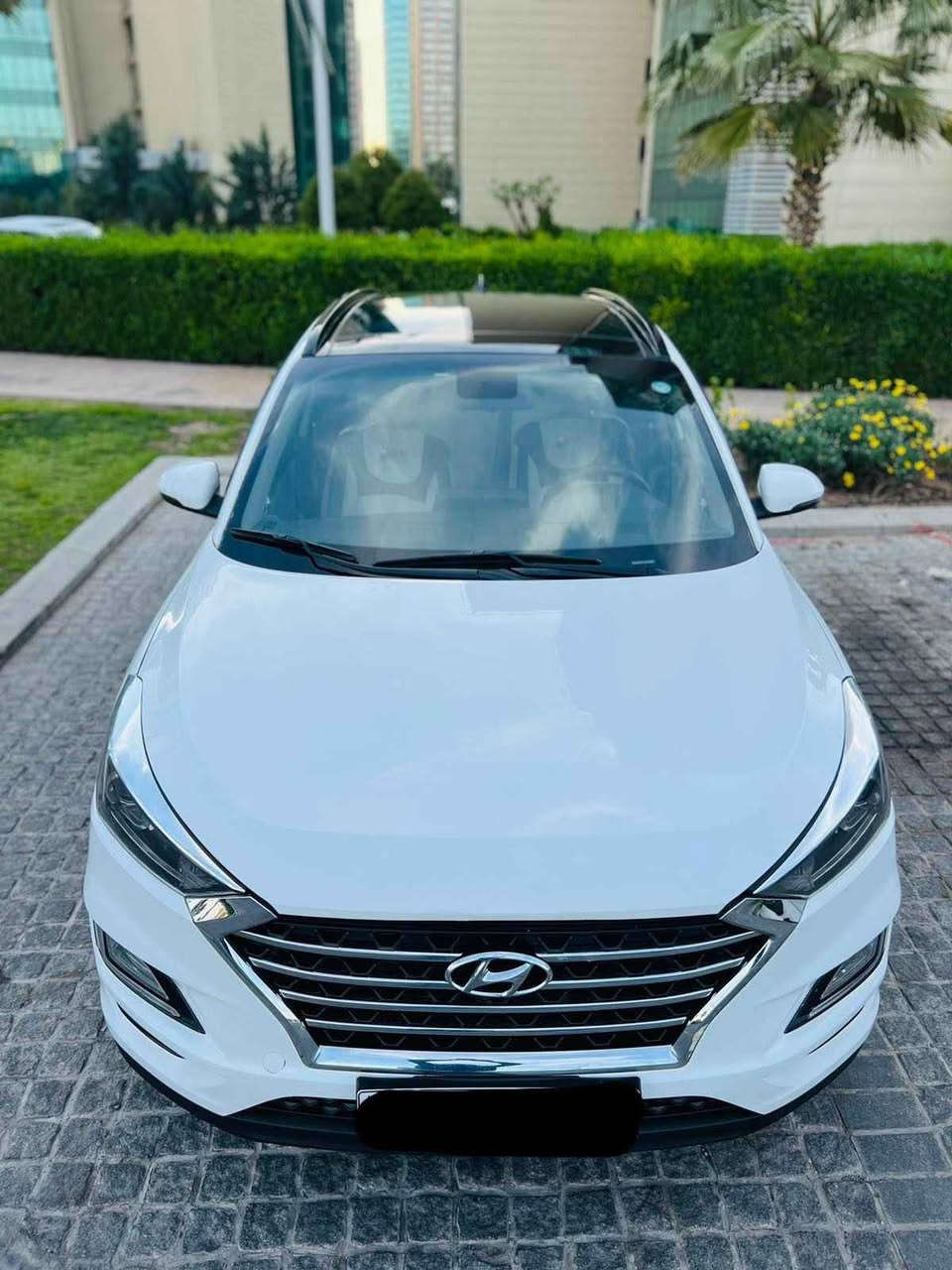 سلام عليكم اخواني رجعنالكم من جديد عندي معارض سيارات في اربيل يوجد انواع السيارات ايشخص مايعرف بلسيارات يراسلني اخدمة بعيوني اذا اتحب تعرف سعر أي سيارة راسلني اخدمك يوجد لدي اقساط ال جميع محافظة كردي عربي مايهم الكل اخوان ماكو فرق اتصال واتساب *********** أربيل, العراق
