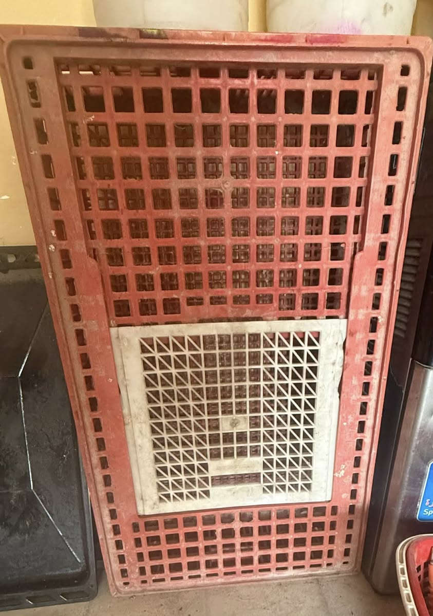 السلام عليكم غراض للبيع كلمن وسعره كلهن نضيفات مبرده السعرنهائي يعني لاتخابرني لوتراسلني وتكلي بيش غراض بيت مو بياع شراي مبرده 150+تانكي 50 الف +برميل نفط10تالاف+قفص 10تالاف+صحن 5تالاف+تخم سفنج50 الف +كنتور بابين ايطالي50 الف +خانه مال طيور25 الف المكان بغداد مدينة الصدر بجوادر قرب مصرف الرافدين ***********بي واتساب
