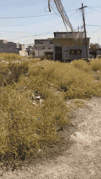 قطعه أرض للبيع مساحته ٥٠٠م واجها ٢٥م ونزال ٢٠م مكانها مقابيل مرور الحس...