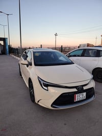 ليفين • ٢٠٢٥ • ٢٨٠٠ كم