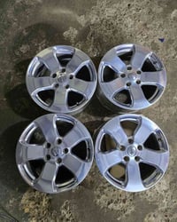 تخم ويل جيب حجم ١٨ مكفول من (فطر لحيم عواج صبغ)  07859065467