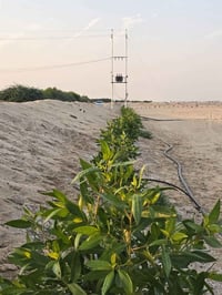 ١٤ دونم • واجهة ١٠٠م • بير ارتواز