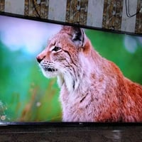 LG 55بوصة • Full HD • webOS