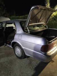 سوبر ارنب • مكفولة • جاهزة