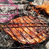 اسماك النوارس • سمك مسكوف • توصيل