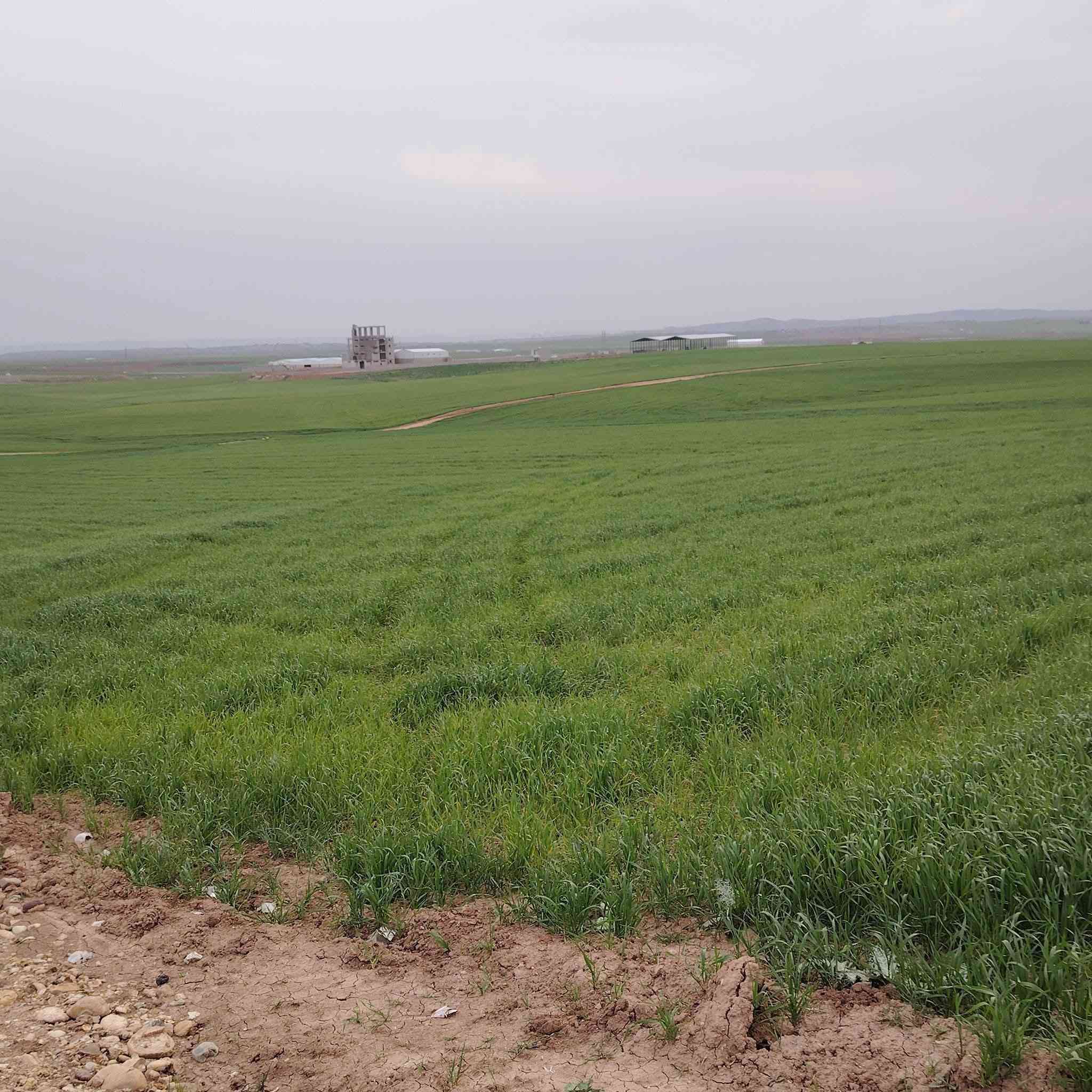 بسم الله الرحمن الرحيم
قطعة أرض للبيع مساحة ١٤ دونم 
وره معمل الرشيد  
وتبعد ١٠٠ متر تقريبا عن السايلو اشور 
شكد تريد حسب الطلب موجود 
***********
