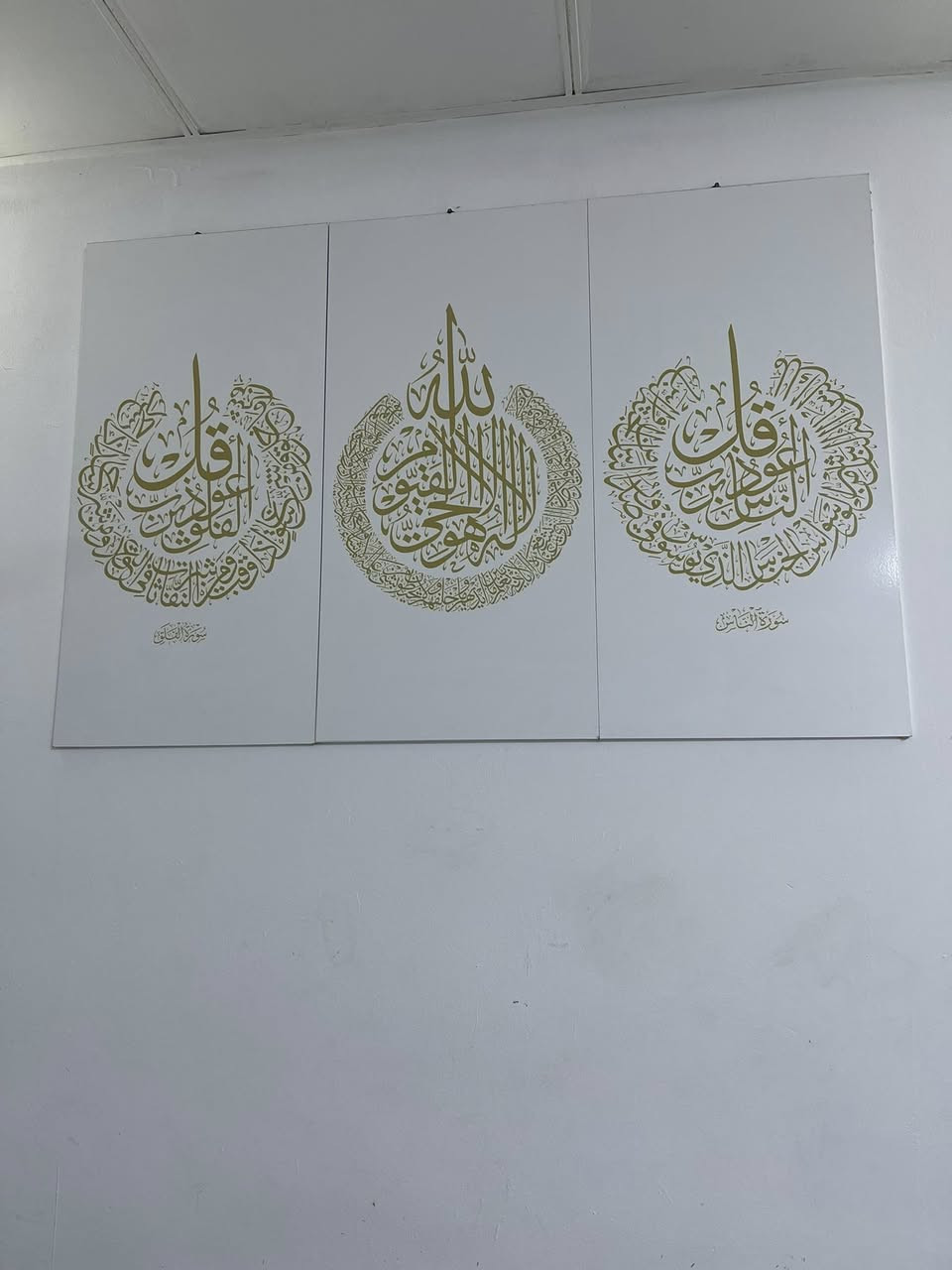 لە سلێمانی موشتەریت مەسج بکە


**إذا كنت صاحب هذا الإعلان وتريد حذفه لأي سبب، رجاءا أرسل رسالة إلى الدعم الفني**