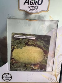 بذور رگي • بذور بطيخ • ذي قار الفجر