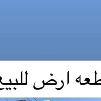 الصيادة الجديدة • ٢٣٠م • ماء وكهرباء وتبليط