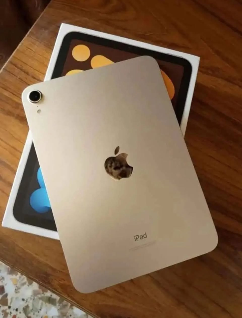 16برو ماكس ذاكره 256 بطاريه 98 وكاله ماستر ملحقات كامله السعر 1400

15 برو ماكس ذاكره 256 بطاريه 86 وكاله ماستر ملحقات كامله السعر 980

13برو ماكس ذاكره 256 بطاريه 86 مكفول السعر 740

13 عادي ذاكره 128 بطاريه 88 وكاله ماستر ملحقات كامله السعر 435

اس 25 ألترا ذاكره 256 ملحقات كامله كارت ضمان الشاشه وكاله السعر 1200

بوكو f6 ذاكره 512 رام 12 بطاريه 5500 شاشه 120 هيرتز السعر 325

تكنو 40 برو ذاكره 256 رام 8 مكفول السعر 240

آيباد مني6 ذاكره 64 بطاريه 88 ملحقات كامله مكفول السعر 300

7 بلص ذاكره 128 بطاريه 100 مستبدل بطاريه فقط السعر 110 
ناصريه حبوبي مقابل حلويات الطائي ***********
