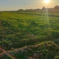 أرض زراعية • كوت اليوسفيه • ١ دونم