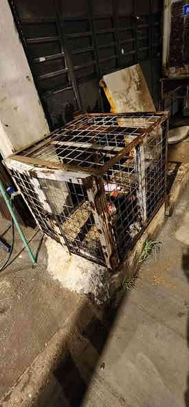 غراض للبيع 
السكيورتي الوحده ب٧٠ 
الجام عدد ٢ 
الألمنيوم عدد ١ 
سعر ٢٠٠ 
عنوان فلوجه حي العسكري 
رقم الهاتف لشراي اتصل ***********
***********
