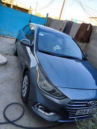 اكسنت • ٢٠١٩ • وارد امريكي