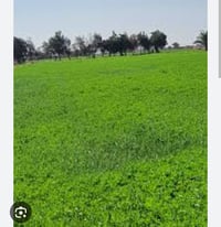 فلكة الشهيد عبدالله الجبارة • ٢٨٠٠م • بئر ماء شغال