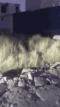 بهرز حي الشرطة • ١٩٠م • قرب جامع الحبيب المصطفى