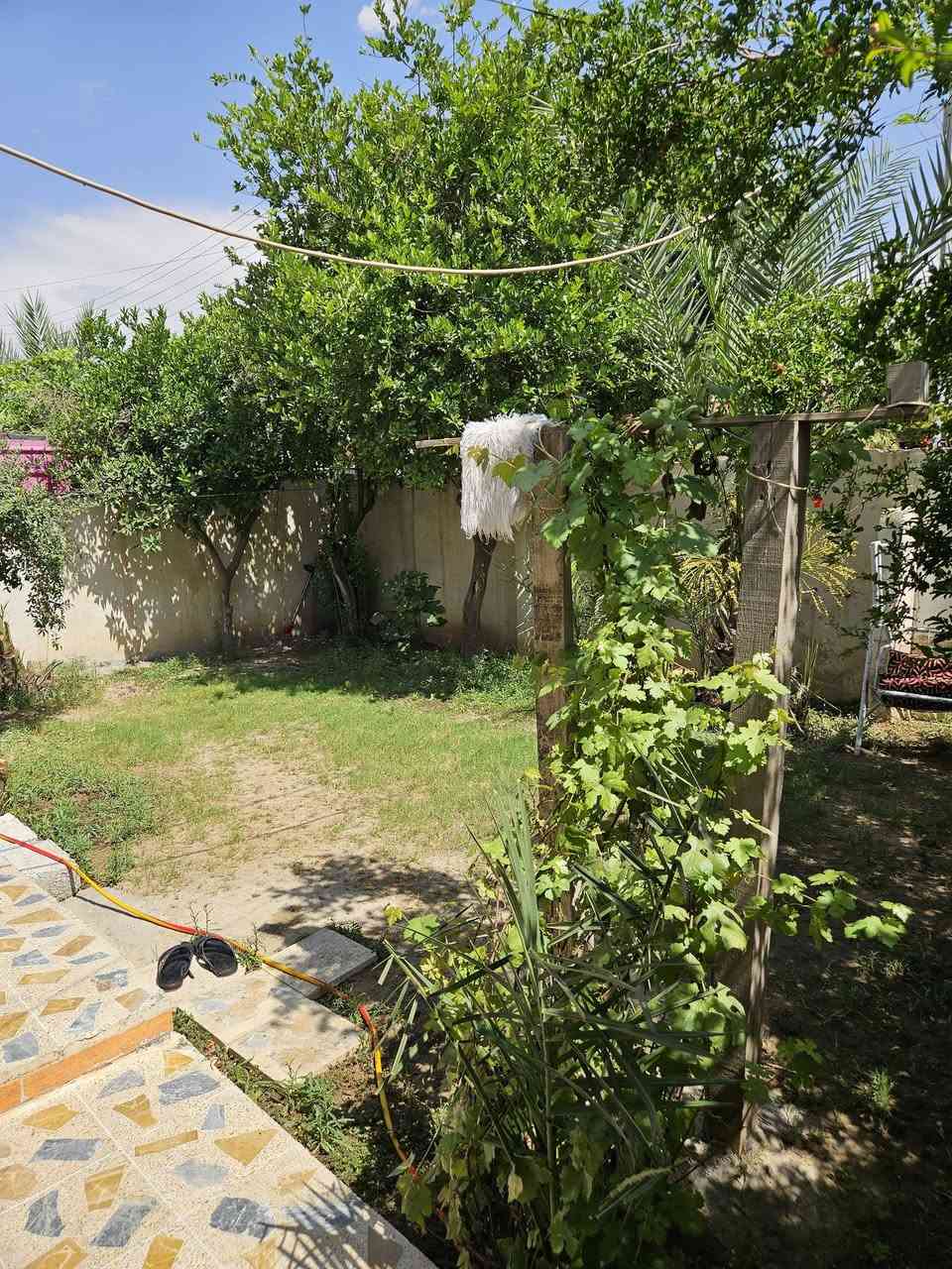 السلام عليكم ..
#بيت_للبيع طابقين سند ملك صرف طابو مكان مميز ..
على شارع ١٥ م المساحة 320 متر تحويل مباشر ..
يتكون طابق الارضي من كراج سيارة +حديقة + استقبال + ٢ غرف نوم + مجمع صحيات + مطبخ + هول معيشه .. يتكون الطابق الثاني من ٢ غرف نوم + حمام عدد ٢ .. 
للاستفسار والتفاصيل اكثر يرجى مراجعة #مكتب_دار_العمدة_لتجارة_العقارات
او الاتصال على ارقام المكتب ***********       ***********  @إشارة
