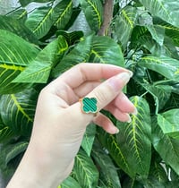 محابس • سبع البور • توصيل