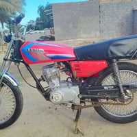 طويريج • بدون اوراق • شاصي مكفول