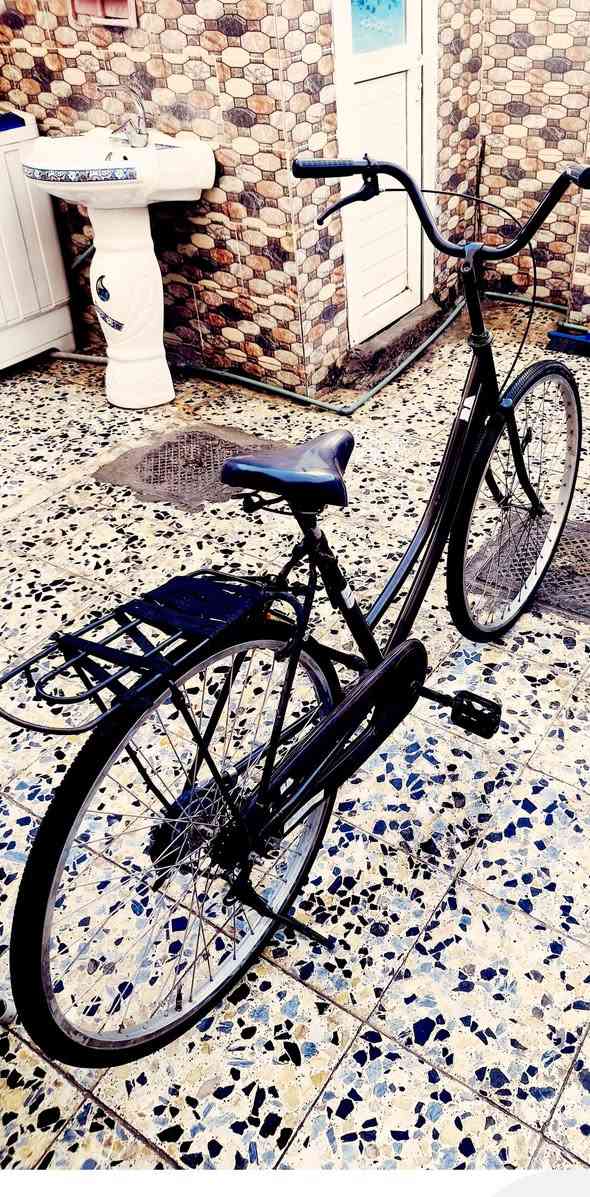 للبيع باسكل حجم 26 السعر 65


**إذا كنت صاحب هذا الإعلان وتريد حذفه لأي سبب، رجاءا أرسل رسالة إلى الدعم الفني**