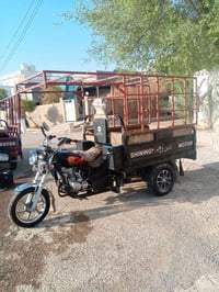 ستوته • موديل ٢٠٢٠ • أوراق شمالي