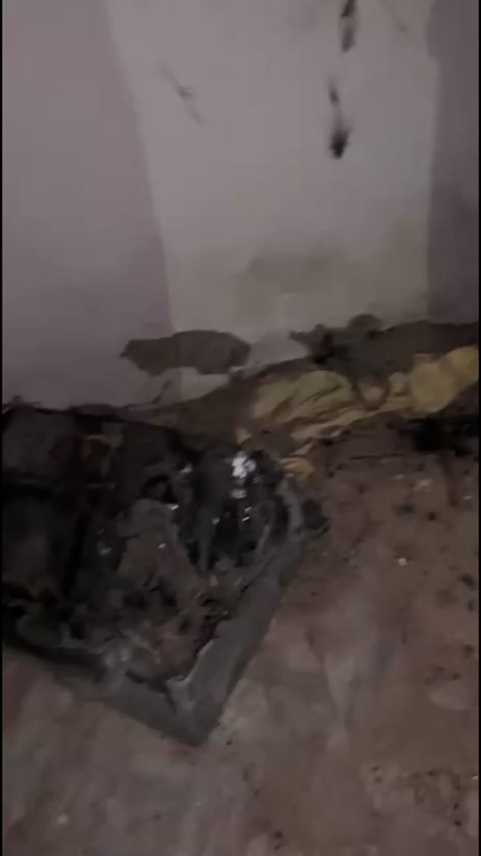 احذر من المواد المقلدة .. جودة، متانة، وأداء يعتمد عليه لسنوات. ✅ يتوفر تقسيط ✅ يتوفر توصيل 📍 الفرع الأول: بغداد – عكد النصارى 📞 *********** 📍 الفرع الثاني: بغداد – ساحة الوثبة 📞 *********** زورونا واستفادوا من أفضل العروض. #ألف_كلاسك #سويجات #كهربائيات #بغداد 
