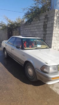 هرتوب ٩١ • محرك ٢٥٠٠ • سنوية ٢٠٢٩