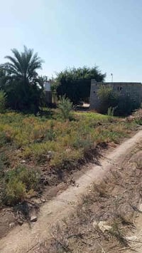 بستان • ٢ دونم • ٣ بيوت