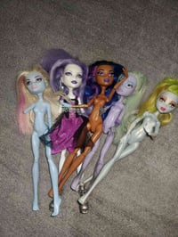 مجموعة مونسترات • نباتات زينة