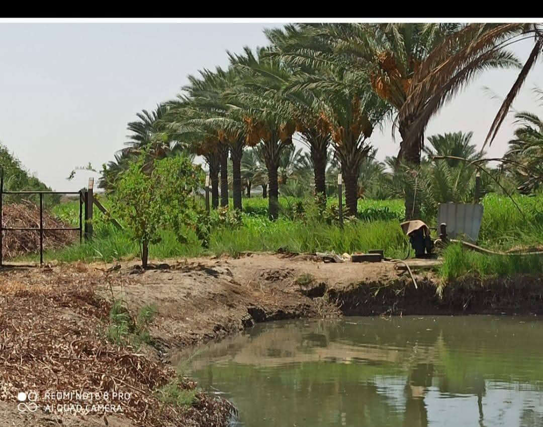 مزرعه للبيع طابو زراعي المساحة 4.5 دونم تحتوي على دار بمساحه 180 م منظومة ماء RO بحيرة اسماك شغاله تحتوي على اسماك مختلفة الاحجام وحقل ابقار صغير نخيل ملون وشتلات تين شارع تبليط لحد المزرعة متوفرة كافة الخدمات 
العنوان/ خلف جامعة بابل منطقة ابراهيم تبعد عن جامعة بابل اقل من 4 كم 
لمعرفة السعر وباقي التفاصيل يرجى الاتصال على الرقم ***********
***********
