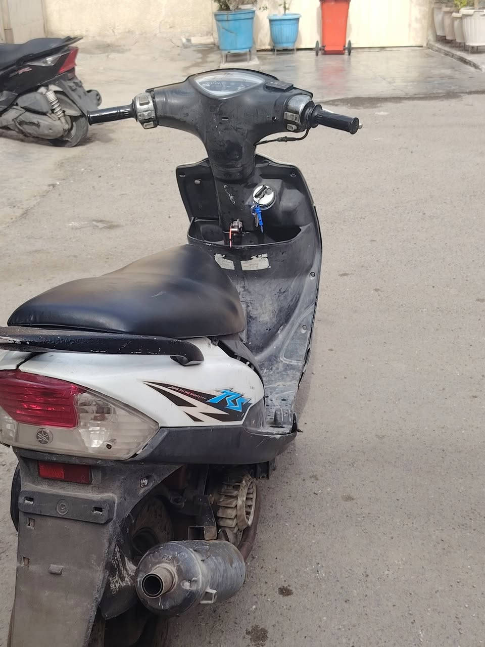 صالنصه رياضي FM
ويل امامي رياضي بـ اللون الابيض

دراجه نشطه ومعدل حلو

ابيع لك طافيه
أنطيك ويا باتري هديه جديد
قيم واخذ بركبته الي يكسر ب سعر

***********
